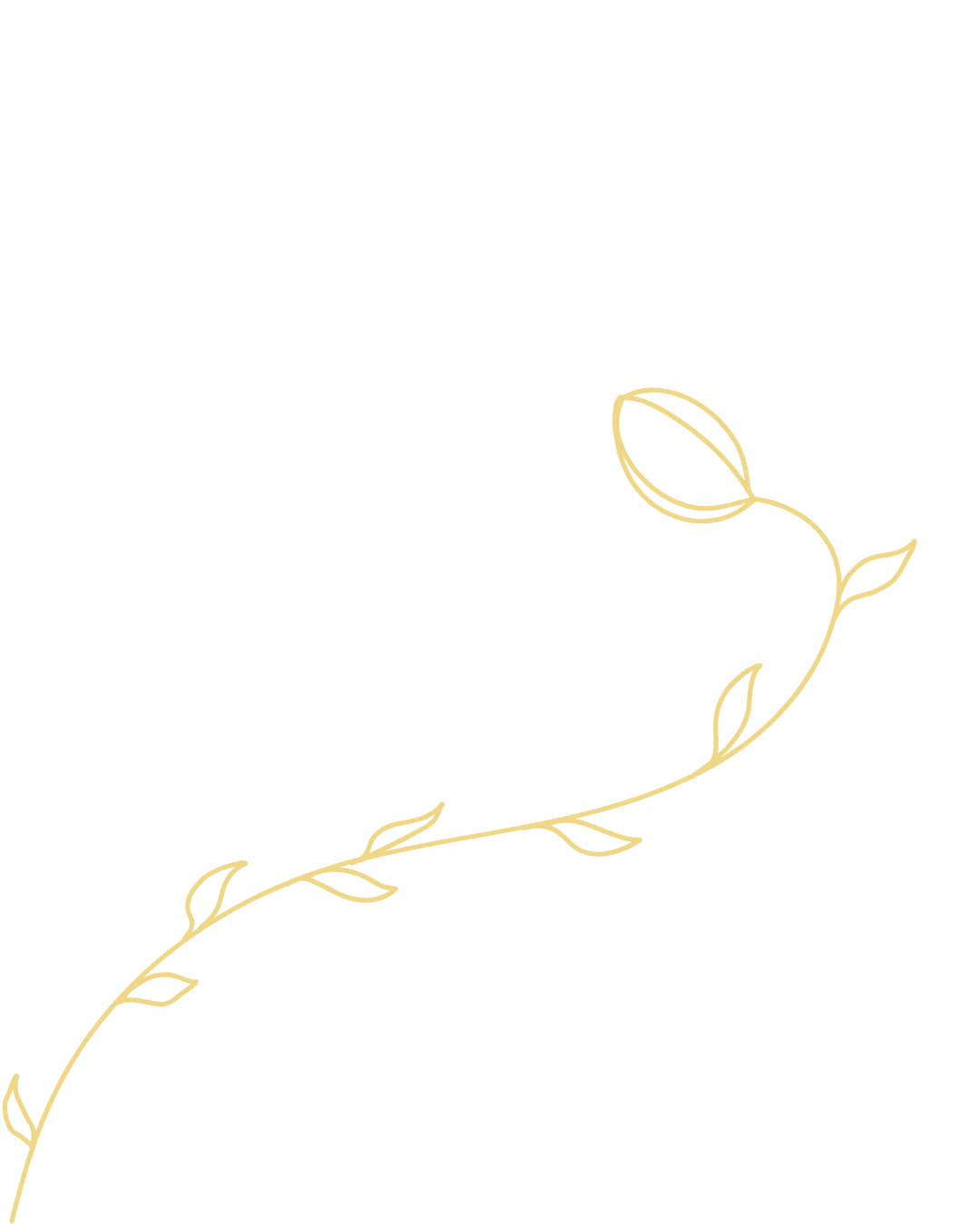 Decorative illustration