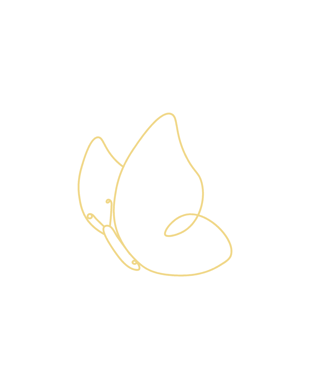 Decorative illustration