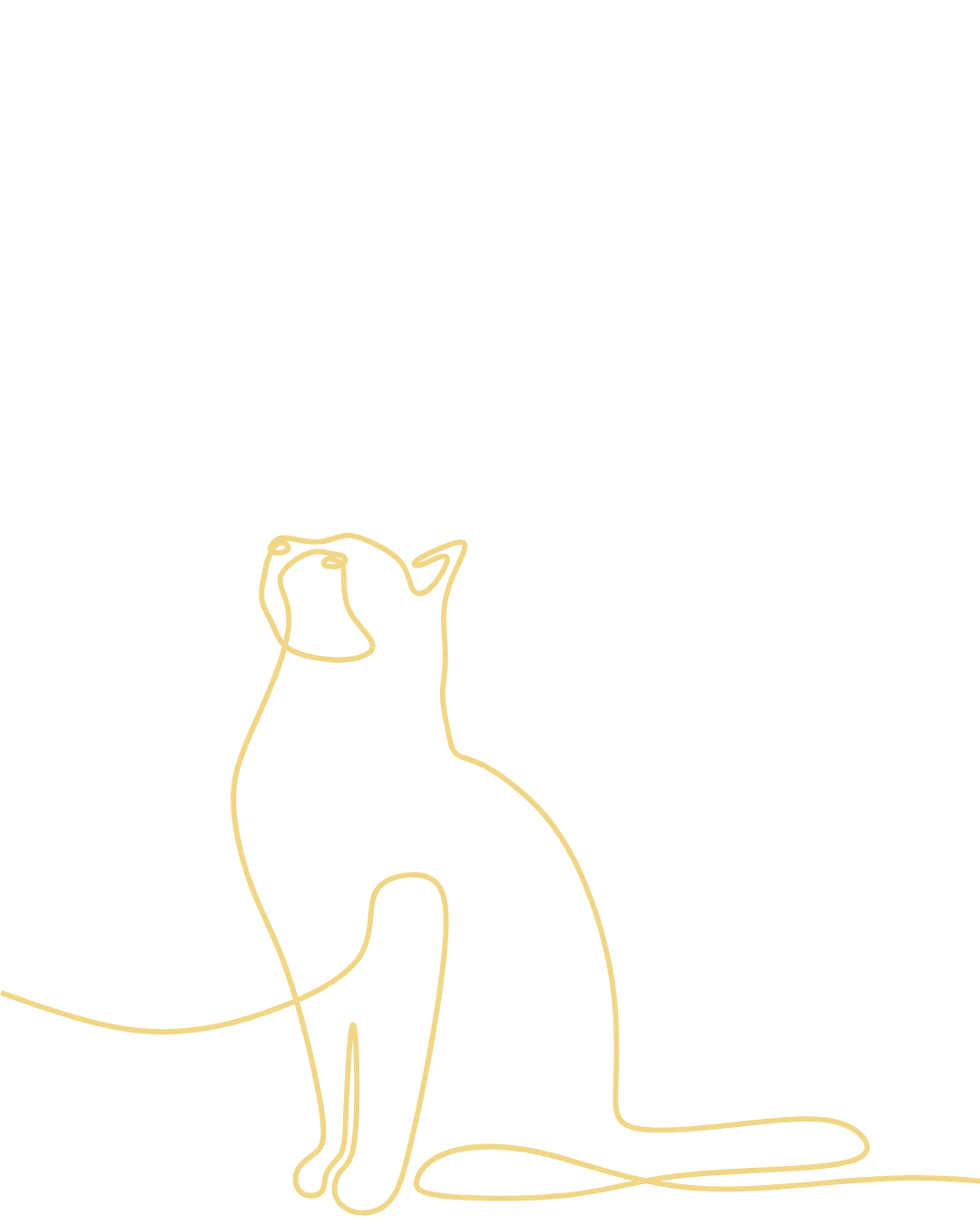 Decorative illustration