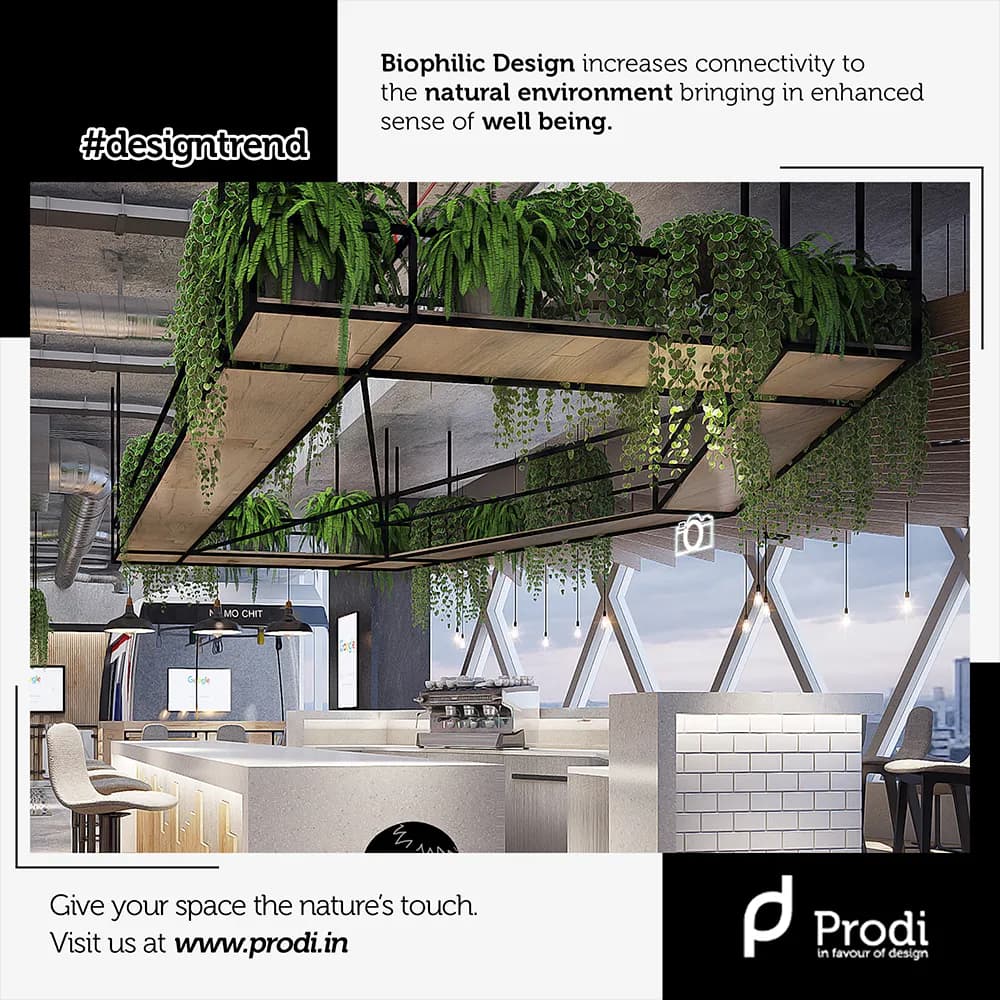 Prodi — work sample 2