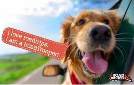 Roadtroopers — work sample 5