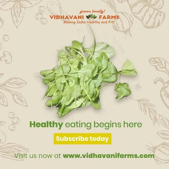 Vidhavani Farms — work sample 1